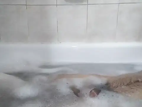 Snapshot of 69LanceRomance69 chatting on 02/27/26, 09:20 69LanceRomance69 online show from 02/27/26, 09:20