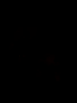 Ory22 online show from 11/01/25, 04:42