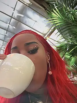 Snapshot of Dime-__ chatting on 01/20/25, 04:45 Dime-   online show from 01/20/25, 04:45