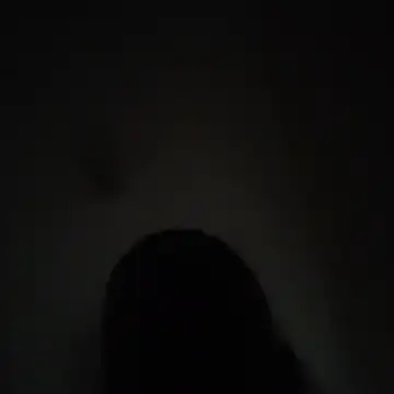 wlammi ptr online show from 12/01/25, 05:01