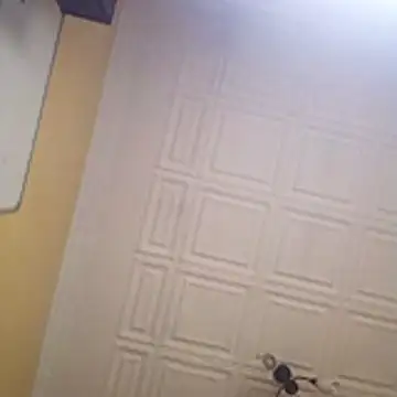 wlammi ptr online show from 01/19/26, 10:41