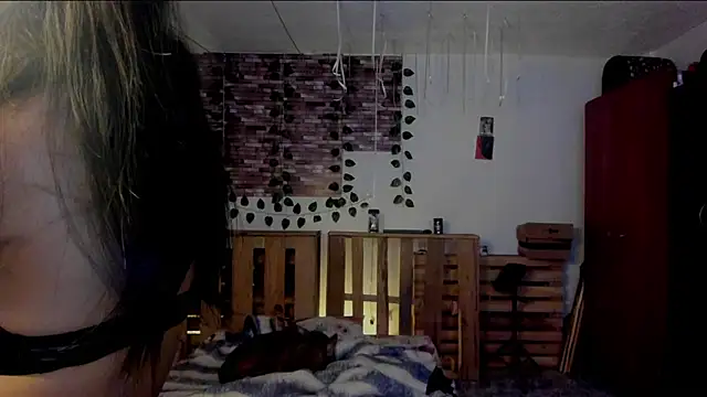 nicole volkov online show from 11/26/25, 06:58