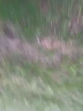 Vanesskaa online show from 04/01/26, 03:09