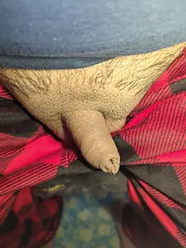 publicsir online show from 04/17/26, 06:22