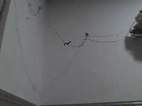 Snapshot of pedrodavid_ chatting on 12/08/24, 12:18 pedrodavid  online show from 12/08/24, 12:18