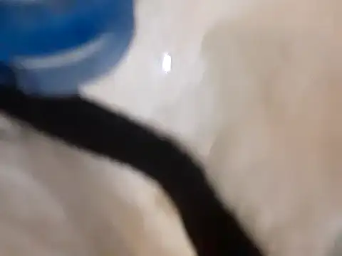 Snapshot of pedrodavid_ chatting on 03/14/25, 12:10 pedrodavid  online show from 03/14/25, 12:10