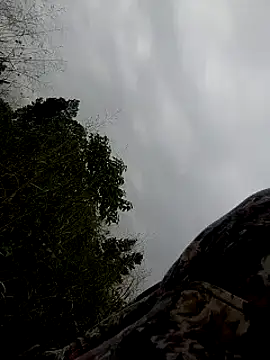 Sherry she online show from 02/02/25, 06:58