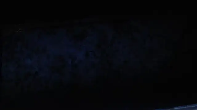 Snapshot of joeydee1 chatting on 02/17/25, 02:04 joeydee1 online show from 02/17/25, 02:04