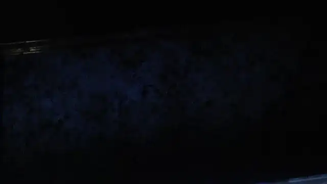 Snapshot of joeydee1 chatting on 02/17/25, 11:20 joeydee1 online show from 02/17/25, 11:20