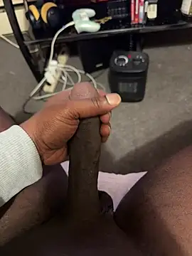 Cameltoekilla online show from 02/12/26, 12:00