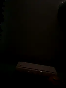 MephiticBermudas online show from 10/20/25, 06:25