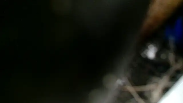 Gigadickman online show from 12/02/24, 11:40