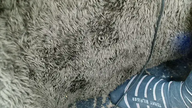 Gigadickman online show from 12/13/24, 09:02