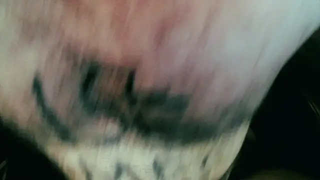 Gigadickman online show from 01/05/25, 11:44