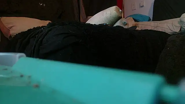 Gigadickman online show from 01/15/25, 02:17