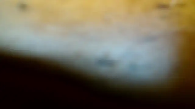 Gigadickman online show from 02/09/25, 11:57