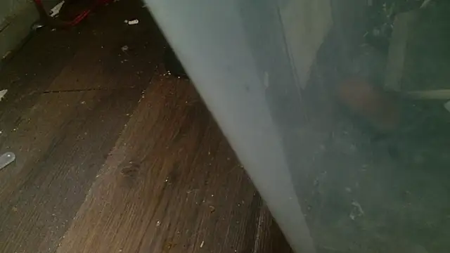 Gigadickman online show from 02/27/25, 04:31