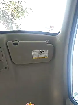 cinnaminnie online show from 02/22/25, 09:37