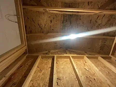 kikiwonderbar online show from 12/17/24, 06:35