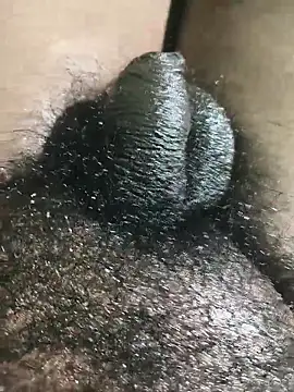 rajrahulovi online show from 02/02/26, 04:49