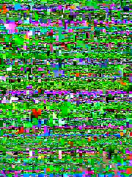 Snapshot of bad-boy-2002 chatting on 10/05/25, 02:37 bad-boy-2002 online show from 10/05/25, 02:37