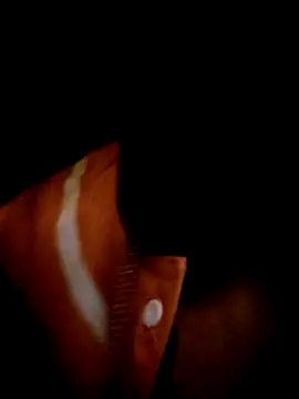 Snapshot of ale3J4a chatting on 02/02/25, 06:48 ale3J4a online show from 02/02/25, 06:48