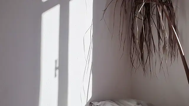 my lina online show from 10/17/25, 06:27