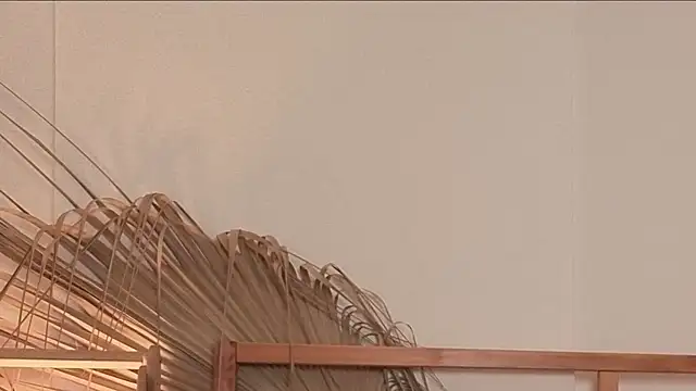 my lina online show from 04/24/26, 05:54