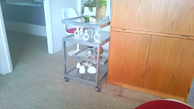 costanza7070 online show from 04/19/26, 09:06