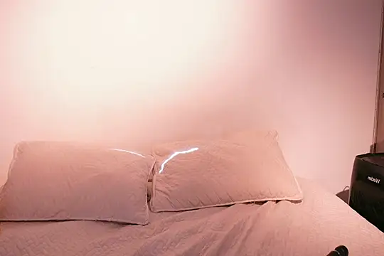 Nicky and Blake online show from 02/02/25, 07:57