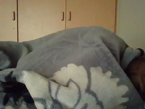 TheeMassageMobileSpa online show from 02/20/25, 06:28
