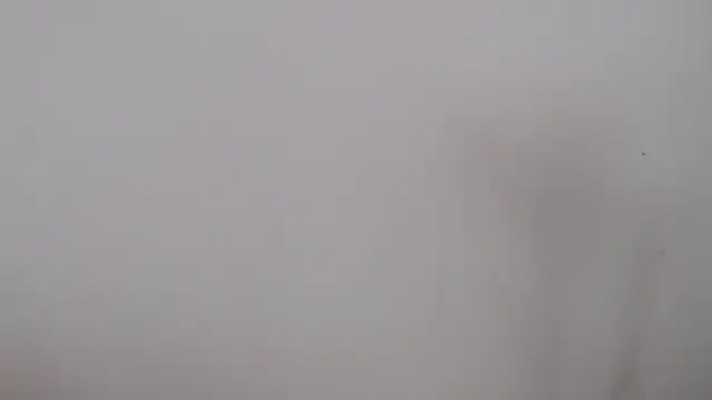 leoytessa 10 online show from 12/05/24, 09:17