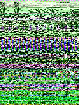 Snapshot of -SHINON- chatting on 11/09/25, 11:52 -SHINON- online show from 11/09/25, 11:52