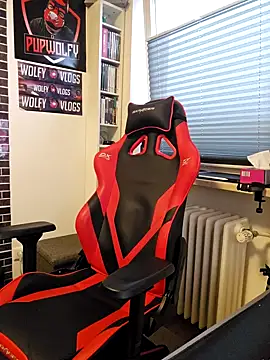 PupW0lfy online show from 01/28/25, 03:14