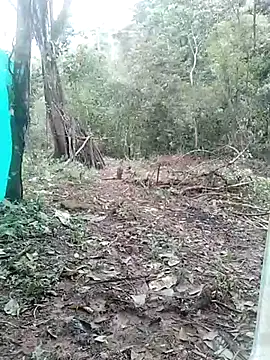 Snapshot of andreu_mature chatting on 03/03/25, 04:14 andreu mature online show from 03/03/25, 04:14