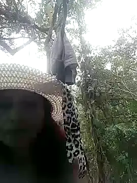 Snapshot of andreu_mature chatting on 03/05/25, 10:32 andreu mature online show from 03/05/25, 10:32