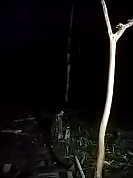 Snapshot of andreu_mature chatting on 03/17/25, 11:43 andreu mature online show from 03/17/25, 11:43