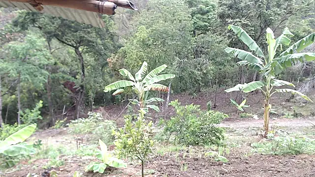 Snapshot of andreu_mature chatting on 10/07/25, 01:08 andreu mature online show from 10/07/25, 01:08