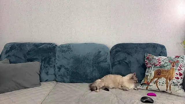 Snapshot of Victoria1Love chatting on 03/10/25, 06:23 Victoria1Love online show from 03/10/25, 06:23