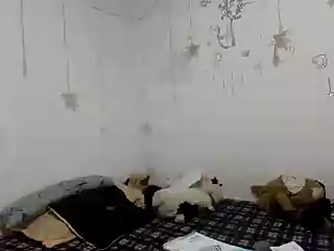 Nissha johosonn online show from 12/13/24, 01:04