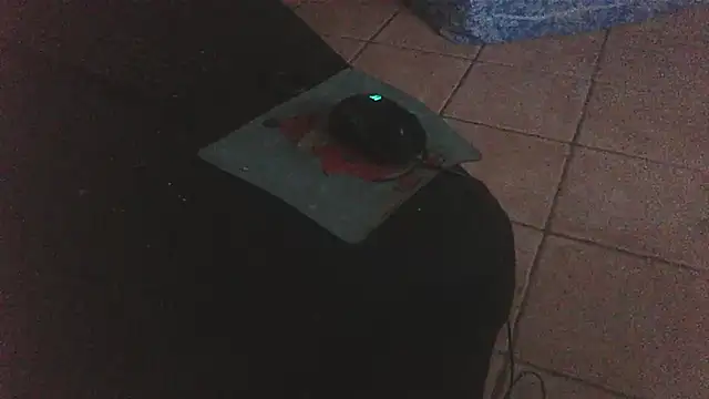 Snapshot of FJcouple chatting on 01/24/25, 12:09 FJcouple online show from 01/24/25, 12:09