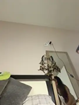 SOFIASWEETSECRETT online show from 03/28/26, 04:28