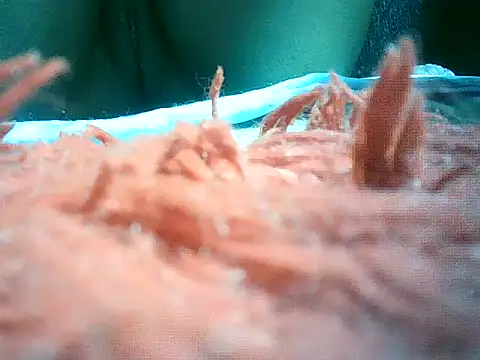 mumbi91 online show from 01/10/25, 10:57