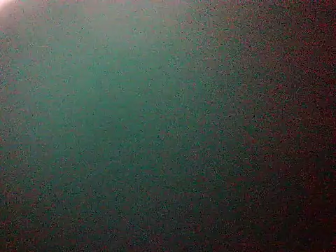 mumbi91 online show from 01/11/25, 01:59