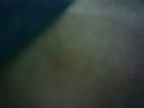 mumbi91 online show from 01/16/25, 04:38