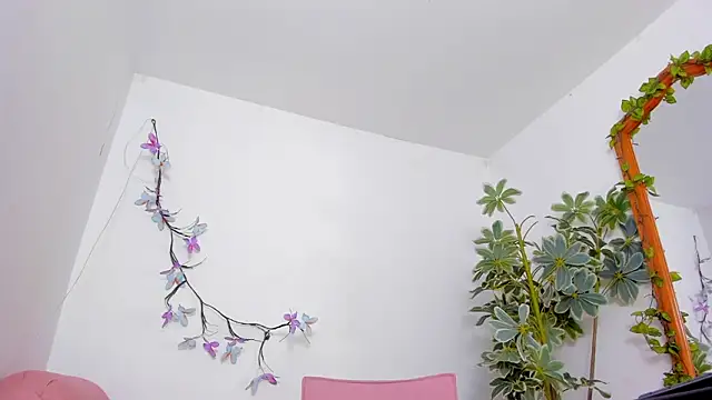 BonnieCute  online show from 02/24/26, 11:47