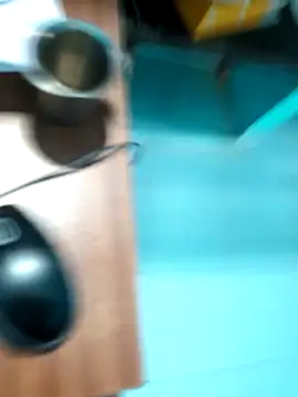 rajesh31tamil online show from 01/04/25, 07:34