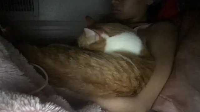 loveofbea online show from 03/08/26, 03:32