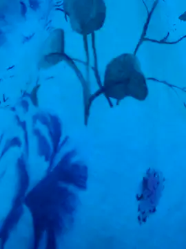 gurlnips online show from 09/19/25, 06:37