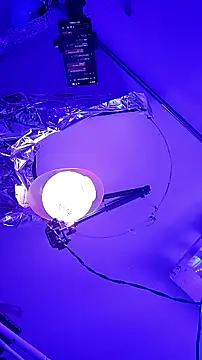 gurlnips online show from 09/26/25, 09:57